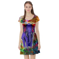 Abstract Elephant With Butterfly Ears Colorful Galaxy Short Sleeve Skater Dress by EDDArt