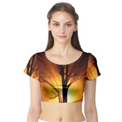 Rays Of Light Tree In Fog At Night Short Sleeve Crop Top (tight Fit) by Amaryn4rt