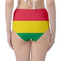 Rasta Colors Red Yellow Gld Green Stripes Pattern Ethiopia High-Waist Bikini Bottoms View2