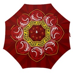 Shanghai Sipg F C  Straight Umbrellas by Valentinaart