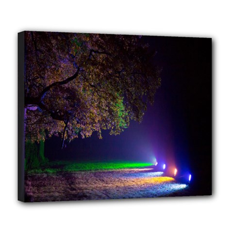 Illuminated Trees At Night Deluxe Canvas 24  X 20   by Nexatart