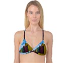 Brightly Colored Dressing Huts Reversible Tri Bikini Top View1