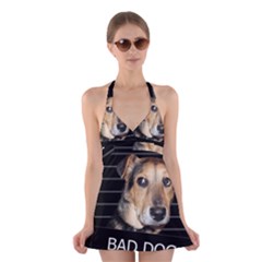 Bed Dog Halter Swimsuit Dress by Valentinaart