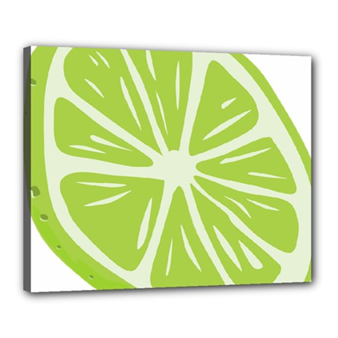 Gerald Lime Green Canvas 20  X 16  by Mariart