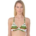 Cactus - Dont be a prick Reversible Tri Bikini Top View3
