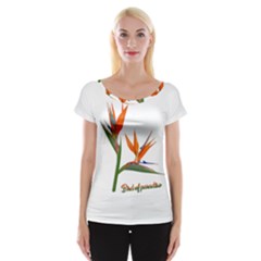 Bird Of Paradise Women s Cap Sleeve Top by Valentinaart