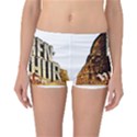 Ben Hur Reversible Bikini Bottoms View1