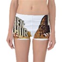 Ben Hur Reversible Bikini Bottoms View3