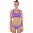 Purple Scales Cross Back Hipster Bikini Set View1