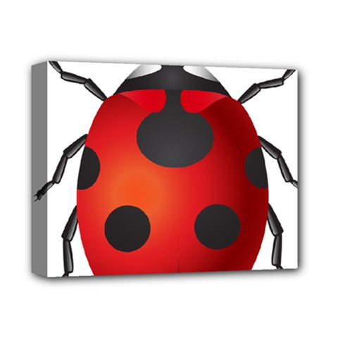 Ladybug Insects Deluxe Canvas 14  X 11  by BangZart