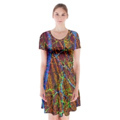 Neurobiology Short Sleeve V-neck Flare Dress by BangZart