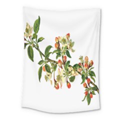 Apple Branch Deciduous Fruit Medium Tapestry by Nexatart