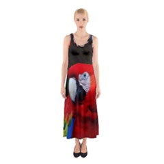 Scarlet Macaw Bird Sleeveless Maxi Dress by BangZart