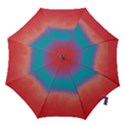 Ombre Hook Handle Umbrellas (Small) View1