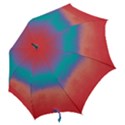 Ombre Hook Handle Umbrellas (Small) View2