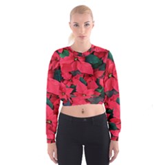 Red Poinsettia Flower Cropped Sweatshirt by Mariart