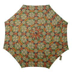 Eye Catching Pattern Hook Handle Umbrellas (medium) by linceazul