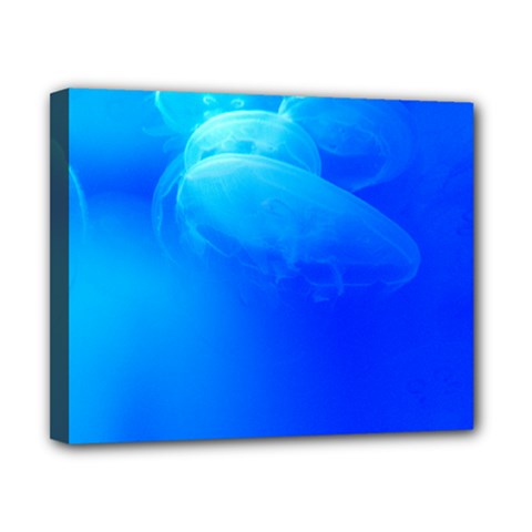 Jellyfish Canvas 10  X 8  (framed) by Oksana