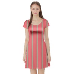 Line Red Grey Vertical Short Sleeve Skater Dress by Mariart