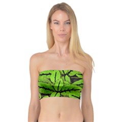 Nature Print Pattern Bandeau Top by dflcprints