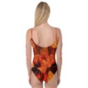 Ablaze With Beautiful Fractal Fall Colors Camisole Leotard  View2