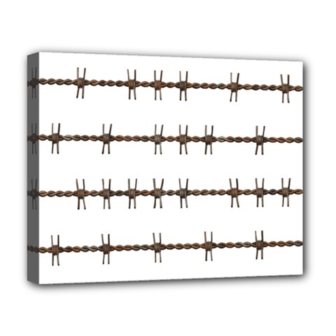 Barbed Wire Brown Deluxe Canvas 20  X 16   by Mariart