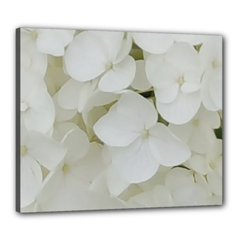 Hydrangea Flowers Blossom White Floral Elegant Bridal Chic Canvas 24  X 20  by yoursparklingshop