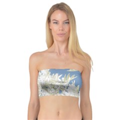 Nature Pattern Bandeau Top by dflcprintsclothing