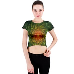 Beautiful Orange-green Desert Cactus Fractalspiral Crew Neck Crop Top by jayaprime