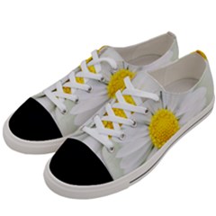 Art Daisy Flower Art Flower Deco Women s Low Top Canvas Sneakers by Celenk