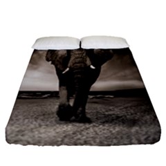 Elephant Black And White Animal Fitted Sheet (queen Size) by Celenk