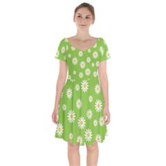 Daisy Flowers Floral Wallpaper Short Sleeve Bardot Dress by Celenk