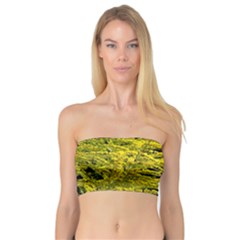 Golden Rod Gold Diamond Bandeau Top by BangZart