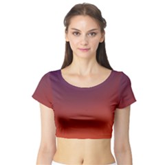 Course Colorful Pattern Abstract Short Sleeve Crop Top by BangZart