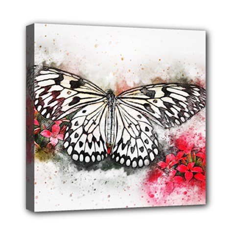 Butterfly Animal Insect Art Mini Canvas 8  X 8  by Celenk