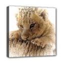 Lion Cub Close Cute Eyes Lookout Mini Canvas 8  x 8  View1