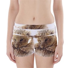 Lion Cub Close Cute Eyes Lookout Boyleg Bikini Wrap Bottoms