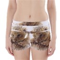 Lion Cub Close Cute Eyes Lookout Boyleg Bikini Wrap Bottoms View1