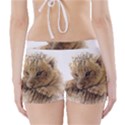 Lion Cub Close Cute Eyes Lookout Boyleg Bikini Wrap Bottoms View2