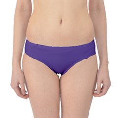 Dark Grape Purple Hipster Bikini Bottoms by snowwhitegirl