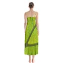 Green Leaf Plant Nature Structure Button Up Chiffon Maxi Dress View2