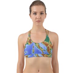 Italy Alpine Alpine Region Map Back Web Sports Bra by Nexatart