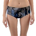 The Nobodies Reversible Mid-Waist Bikini Bottoms View1