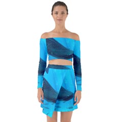 Whale Shark 2 Off Shoulder Top With Skirt Set by trendistuff