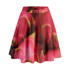 Dragonfruit High Waist Skirt by trendistuff