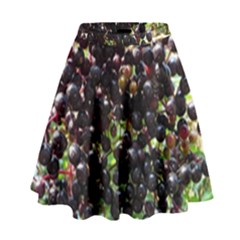 Elderberries High Waist Skirt by trendistuff