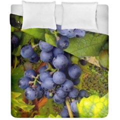 Grapes 1 Duvet Cover Double Side (california King Size) by trendistuff