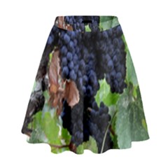 Grapes 3 High Waist Skirt by trendistuff