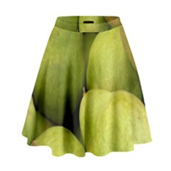 Pears 1 High Waist Skirt by trendistuff