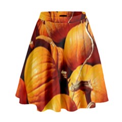 Pumpkins 3 High Waist Skirt by trendistuff